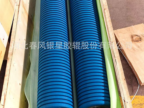 河北工业丁青胶辊